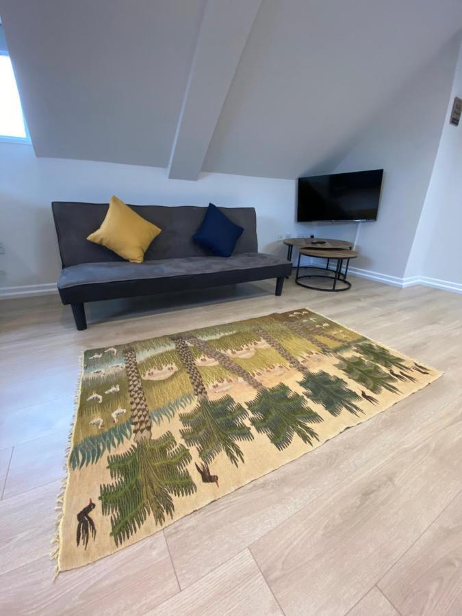 Lovely Spacious Loft Close To Train Station رذينج المظهر الخارجي الصورة